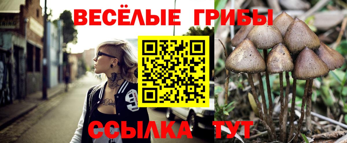 Архангельск  Псилоцибиновые грибы GOLDEN TEACHER  Псилоцибиновые грибы MAGIC MUSHROOMS  Вход с VPN 
